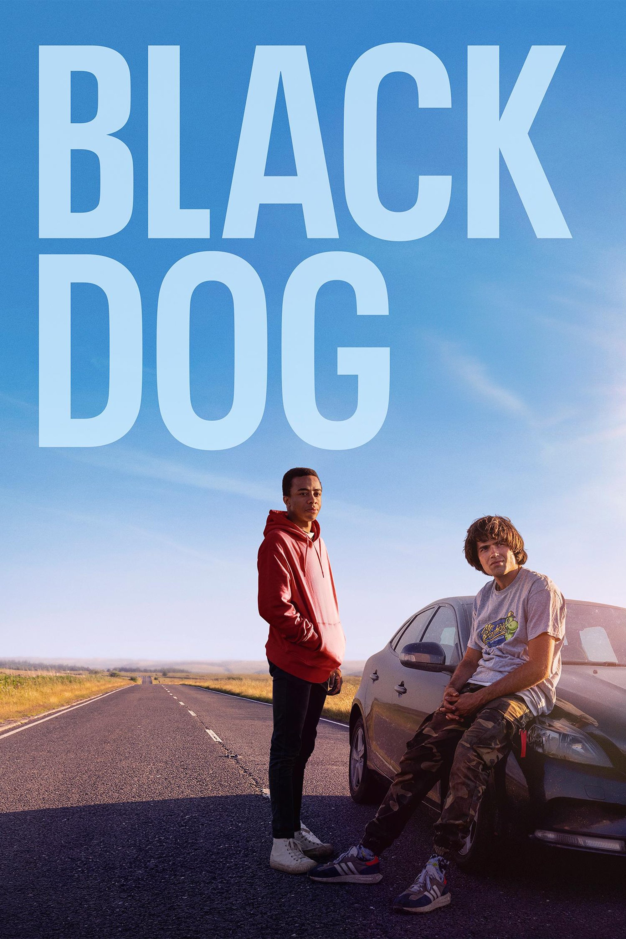 Постер Black Dog